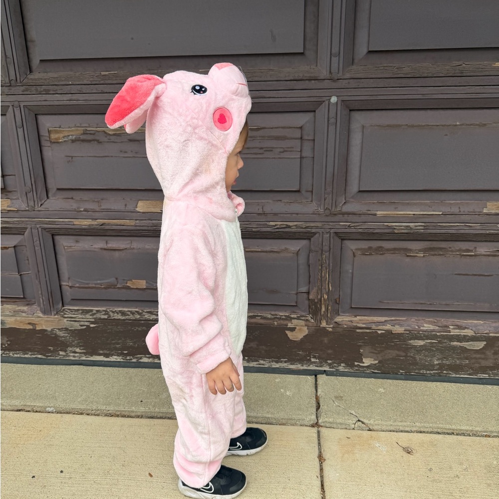 Pink Bunny Hooded Onesie